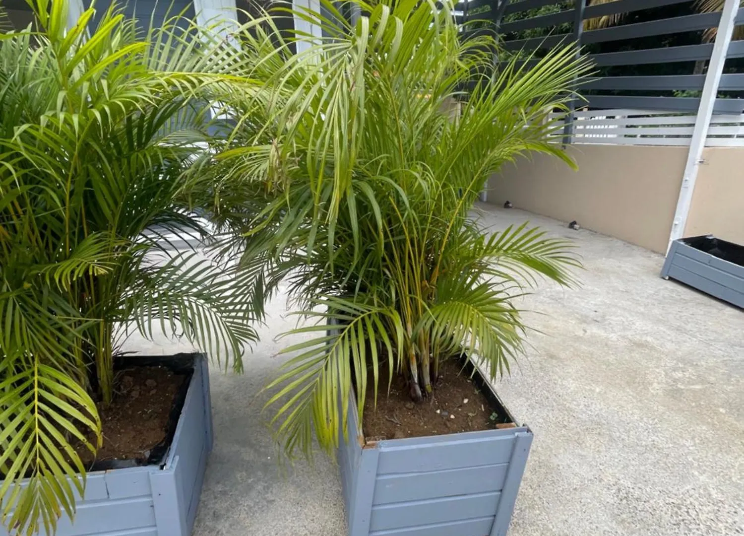 Petit F2 Entierement Renove Equipe En Energie Solaire Et Citerne D Eau Apartment Petit-Bourg