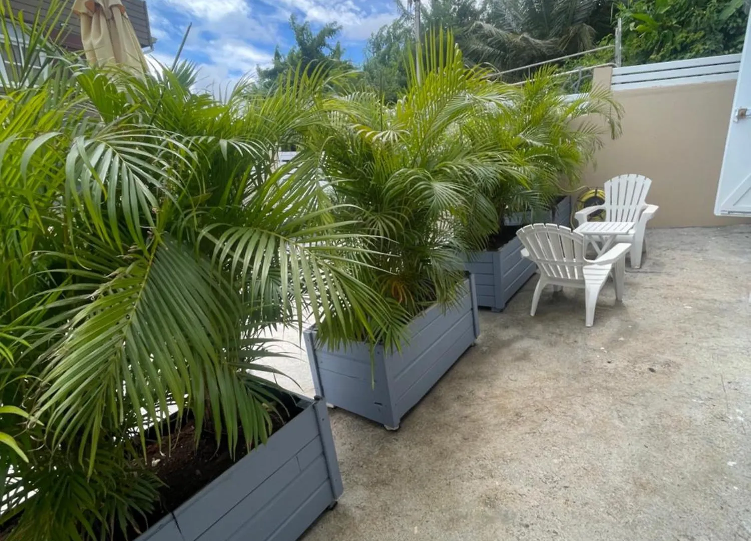 Petit F2 Entierement Renove Equipe En Energie Solaire Et Citerne D Eau Apartment Guadeloupe